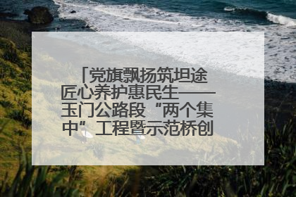 党旗飘扬筑坦途 匠心养护惠民生——玉门公路段“两个集中”工程暨示范桥创建项目圆满收官