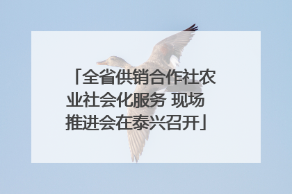 全省供销合作社农业社会化服务 现场推进会在泰兴召开