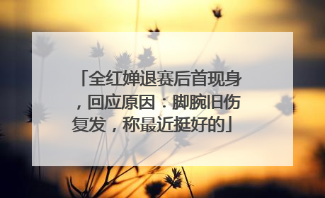 全红婵退赛后首现身，回应原因：脚腕旧伤复发，称最近挺好的