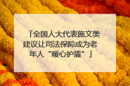 全国人大代表施文美建议让司法保障成为老年人“暖心护盾”
