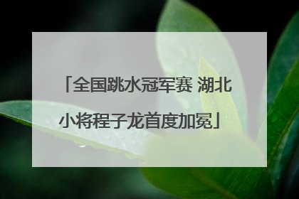 全国跳水冠军赛 湖北小将程子龙首度加冕