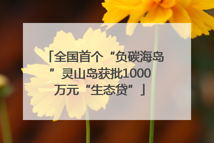 全国首个“负碳海岛”灵山岛获批1000万元“生态贷”