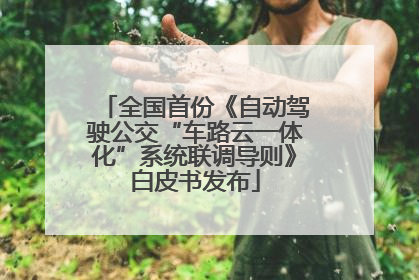 全国首份《自动驾驶公交“车路云一体化”系统联调导则》白皮书发布