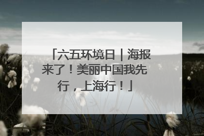 六五环境日｜海报来了！美丽中国我先行，上海行！