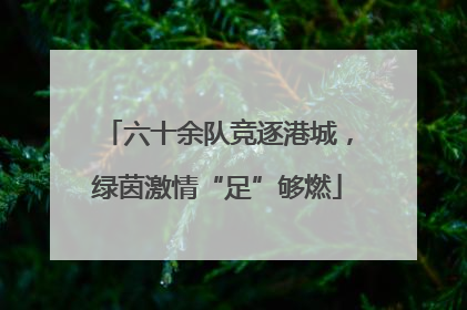 六十余队竞逐港城，绿茵激情“足”够燃