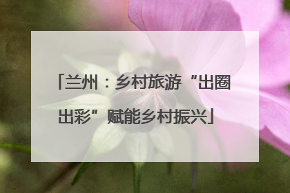 兰州：乡村旅游“出圈出彩”赋能乡村振兴