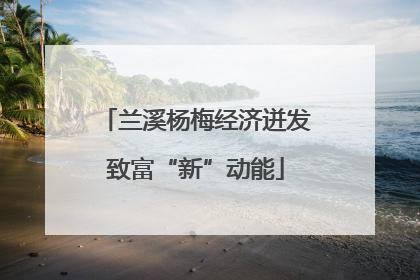 兰溪杨梅经济迸发致富“新”动能