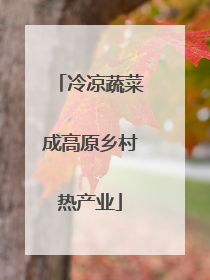 冷凉蔬菜成高原乡村热产业