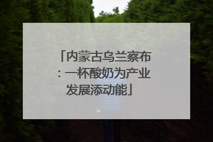 内蒙古乌兰察布：一杯酸奶为产业发展添动能