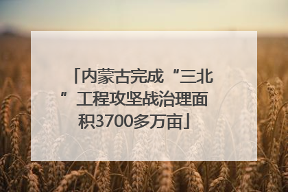 内蒙古完成“三北”工程攻坚战治理面积3700多万亩