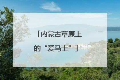 内蒙古草原上的“爱马士”