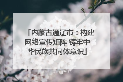 内蒙古通辽市：构建网络宣传矩阵 铸牢中华民族共同体意识