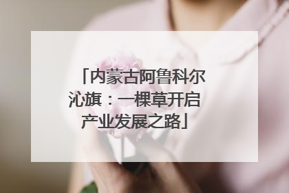 内蒙古阿鲁科尔沁旗：一棵草开启产业发展之路