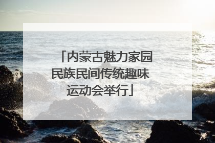 内蒙古魅力家园民族民间传统趣味运动会举行