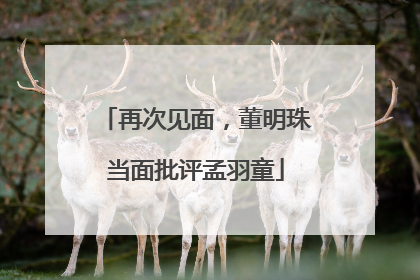 再次见面，董明珠当面批评孟羽童