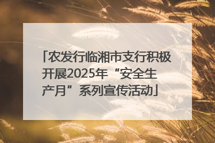 农发行临湘市支行积极开展2025年“安全生产月”系列宣传活动