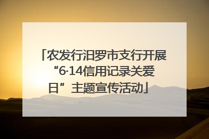 农发行汨罗市支行开展“6·14信用记录关爱日”主题宣传活动