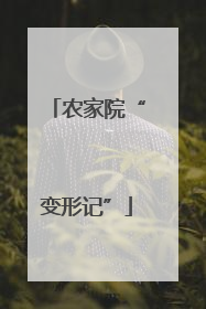 农家院“变形记”