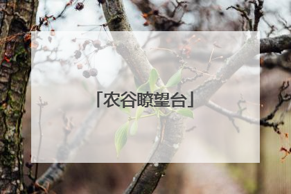 农谷瞭望台