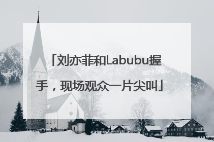 刘亦菲和Labubu握手，现场观众一片尖叫