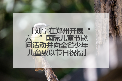 刘宁在郑州开展“六一”国际儿童节慰问活动并向全省少年儿童致以节日祝福