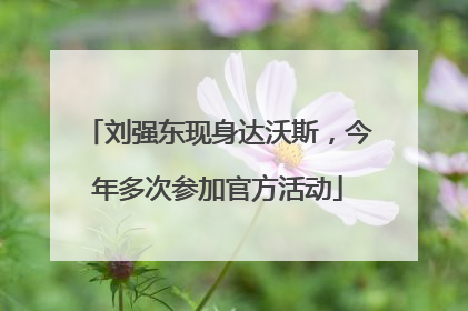刘强东现身达沃斯，今年多次参加官方活动