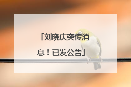 刘晓庆突传消息！已发公告