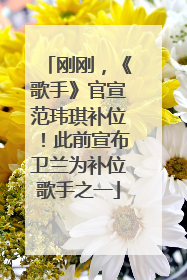 刚刚，《歌手》官宣范玮琪补位！此前宣布卫兰为补位歌手之一