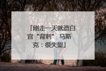 刚走一天就遭白宫“背刺” 马斯克：很失望