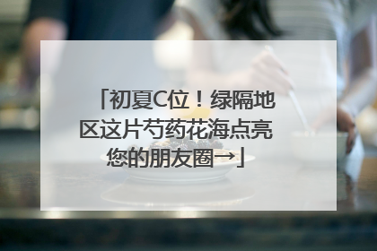 初夏C位！绿隔地区这片芍药花海点亮您的朋友圈→
