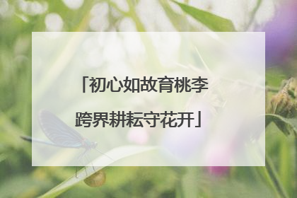 初心如故育桃李 跨界耕耘守花开