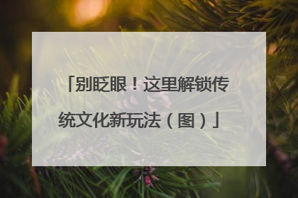 别眨眼！这里解锁传统文化新玩法（图）