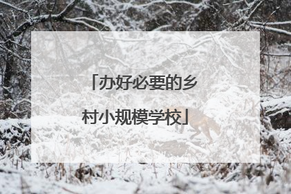 办好必要的乡村小规模学校