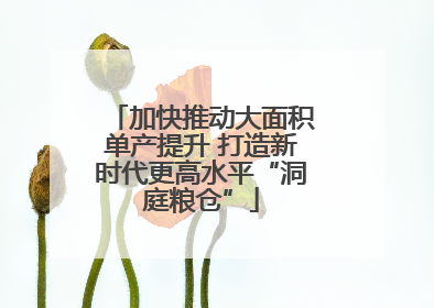 加快推动大面积单产提升 打造新时代更高水平“洞庭粮仓”
