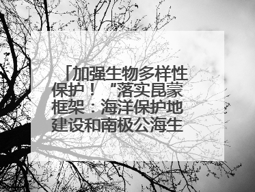 加强生物多样性保护！“落实昆蒙框架：海洋保护地建设和南极公海生态保护”主题论坛将举办