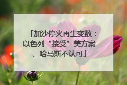 加沙停火再生变数：以色列“接受”美方案、哈马斯不认可