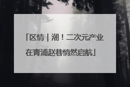 区情｜潮！二次元产业在青浦赵巷悄然启航