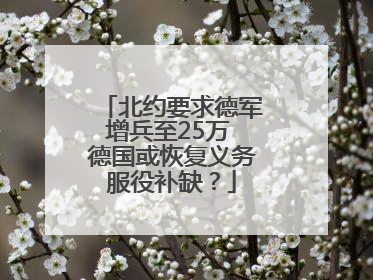 北约要求德军增兵至25万 德国或恢复义务服役补缺？
