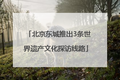 北京东城推出3条世界遗产文化探访线路