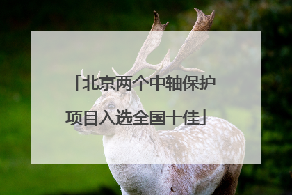北京两个中轴保护项目入选全国十佳
