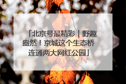 北京号最精彩｜野趣盎然！京城这个生态桥连通两大网红公园