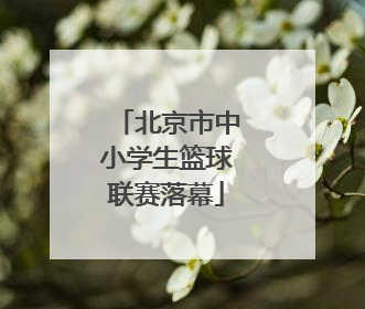 北京市中小学生篮球联赛落幕