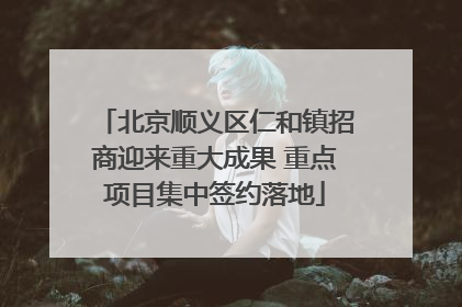 北京顺义区仁和镇招商迎来重大成果 重点项目集中签约落地