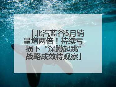 北汽蓝谷5月销量增两倍！持续亏损下“深蹲起跳”战略成效待观察