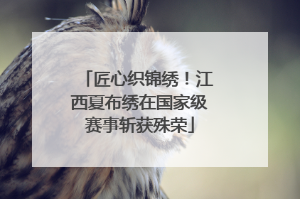 匠心织锦绣！江西夏布绣在国家级赛事斩获殊荣