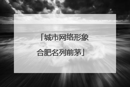 城市网络形象合肥名列前茅