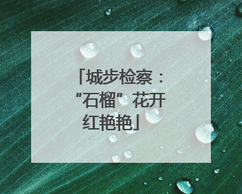 城步检察：“石榴”花开红艳艳