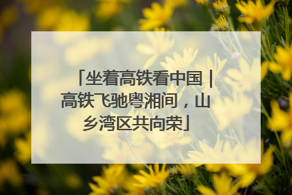 坐着高铁看中国｜高铁飞驰粤湘间，山乡湾区共向荣