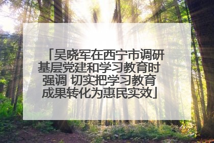 吴晓军在西宁市调研基层党建和学习教育时强调 切实把学习教育成果转化为惠民实效