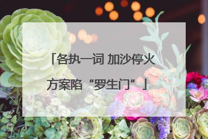 各执一词 加沙停火方案陷“罗生门”